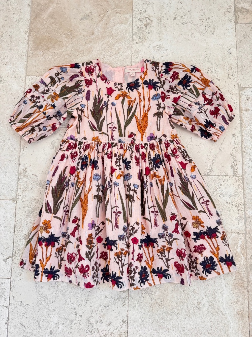 Pink Chicken Brooke Dress in Autumn Flowers, size 6. Like new.